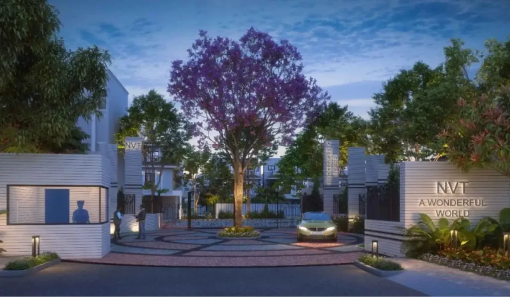 nvt a wonderful world